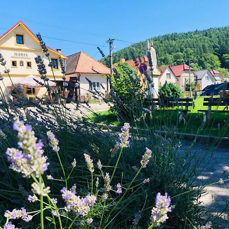 Maria Penzion & Restaurant-2